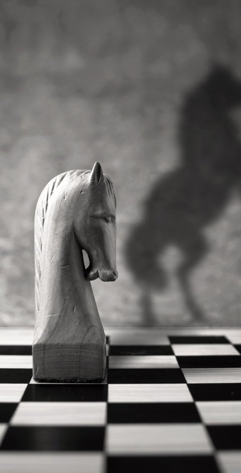 Schachbrett Ritter mit Pferd Schatten